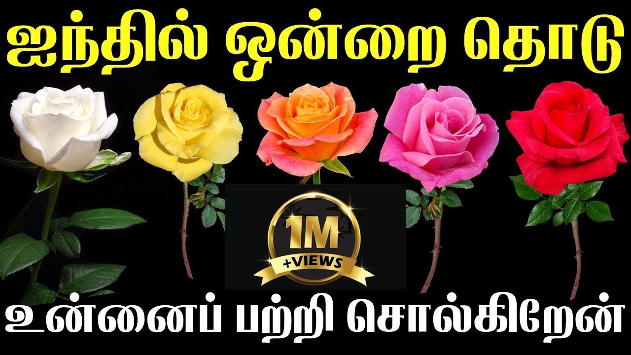 5 Rose Personality Traits | ஐந்தில் ஒன்றை தொடு | உன்னைப் பற்றி சொல்கிறேன்| T Tamil Technology