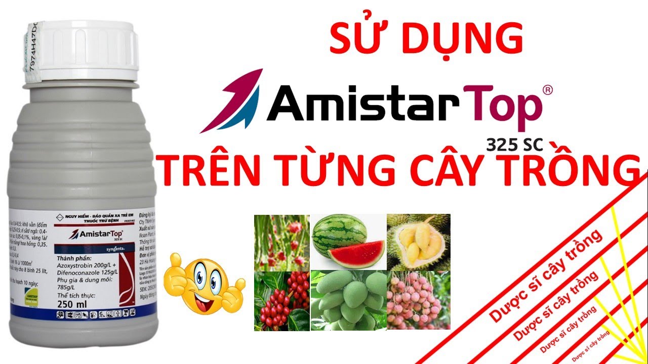 Amistar Top cách sử dụng trên các loại cây trồng | Syngenta | LTG | thuốc trừ bệnh