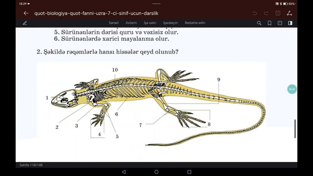 7 ci sinif Biologiya. Sürünənlər sinfi🐊🦎