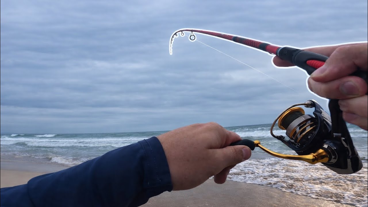 SoCal Surf Fishing for Non-stop Action!! How many can I catch