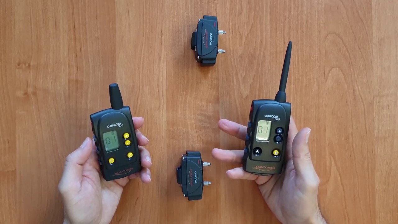 Suņu elektroniskās dresēšanas kakla siksnas CANICOM ( NUMAXES) iestatīšanas instrukcija