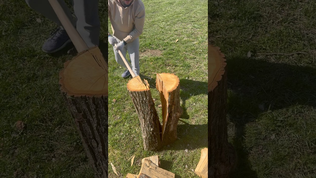 splitting a knotty oak log🪵🪓✔️#splittingfirewood #woodworking