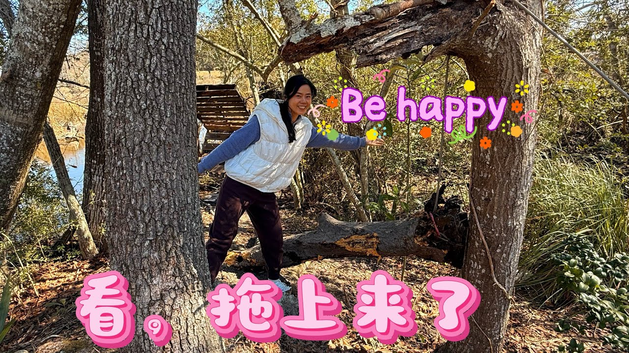 车老师在美国🇺🇸，趁着现在水位低，终于动手了，今天把倒在河里的树干拖上岸👍