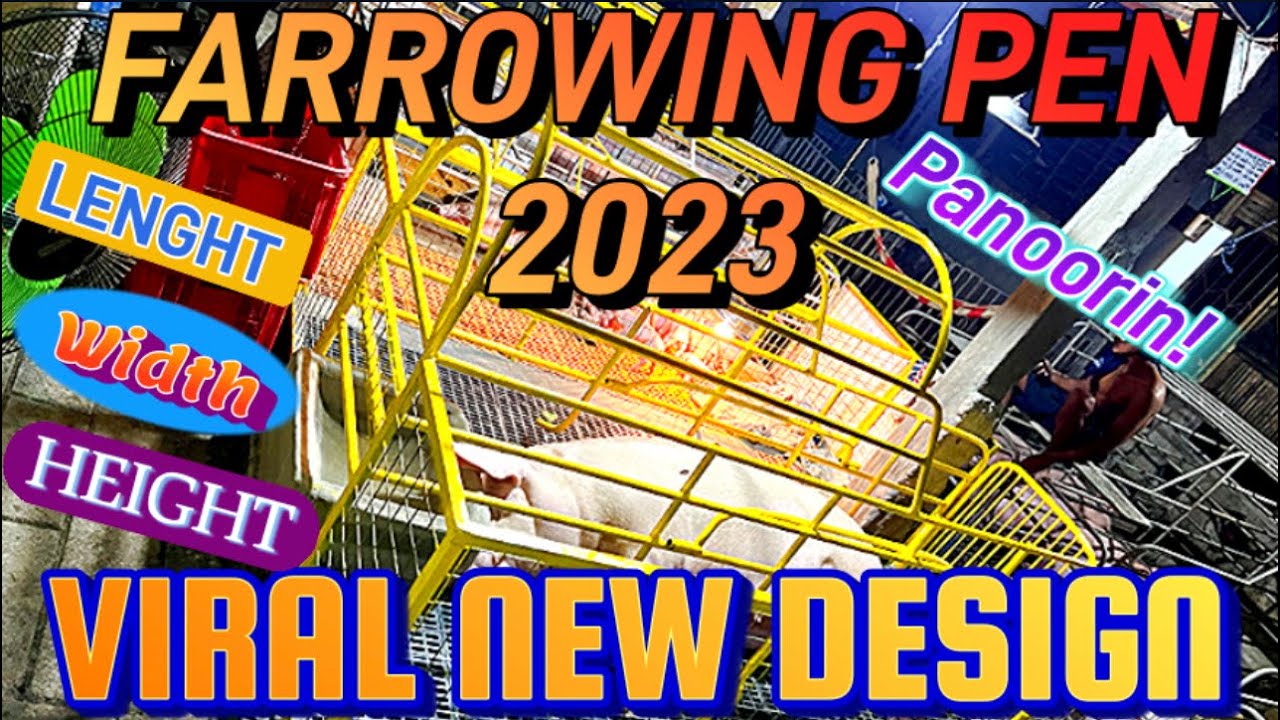 FARROWING PEN 2023 NEW DESIGN VIRAL LENGTH WIDTH HEIGHT  PART 1
