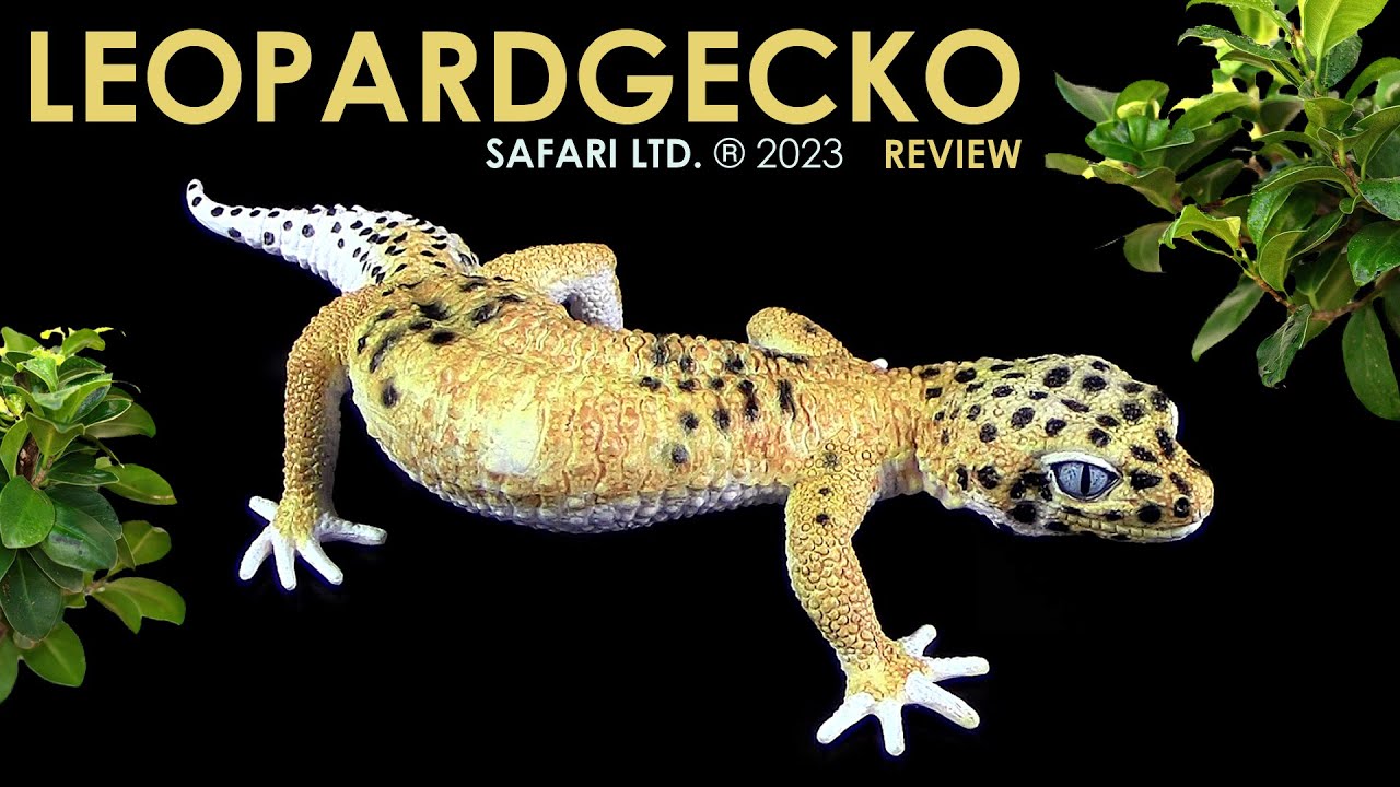 Safari Ltd. ® Leopardgecko / Leopard Gecko - Review (Deutsch / German)