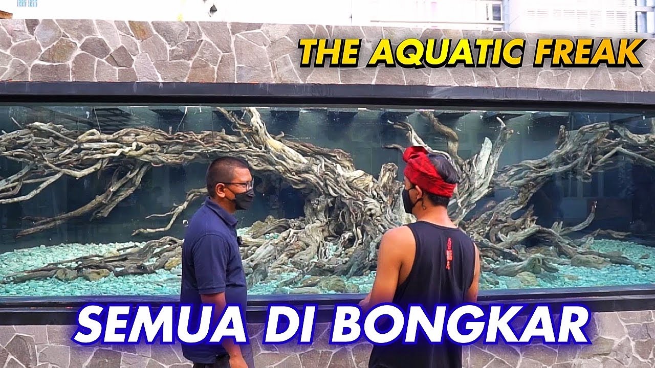 #46- BONGKAR RAHASIA HARDSCAPE MEGATANK 100TON Feat @theaquaticfreak9905