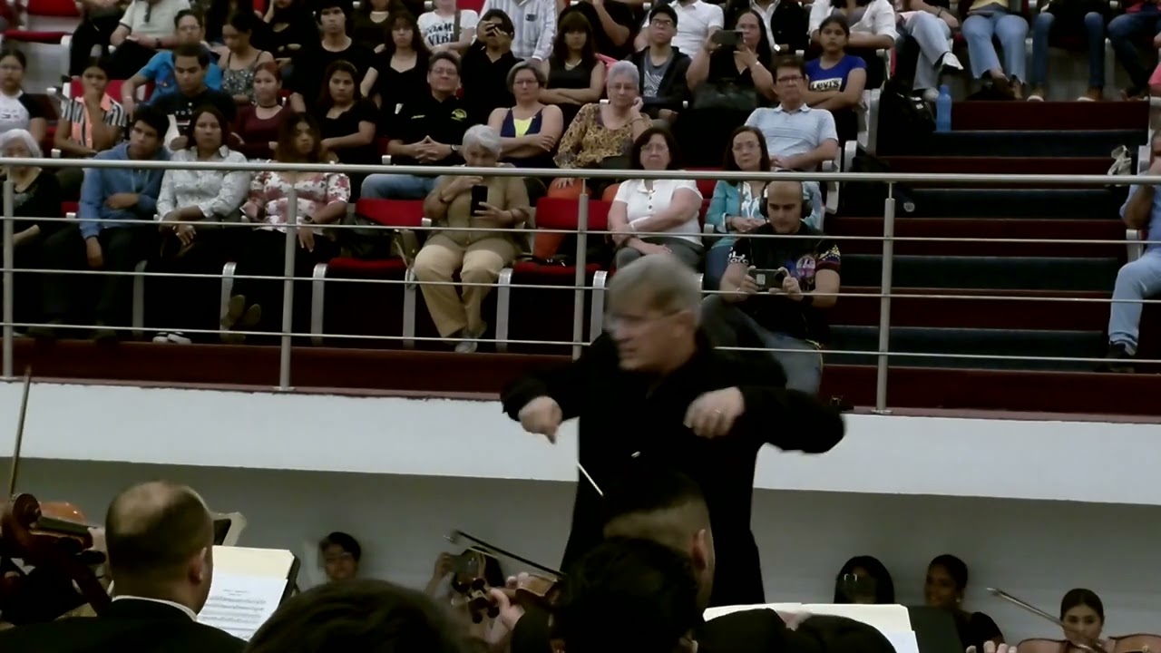 L. van Beethoven: Symphony No. 5 in C minor, op. 67 - first movement -