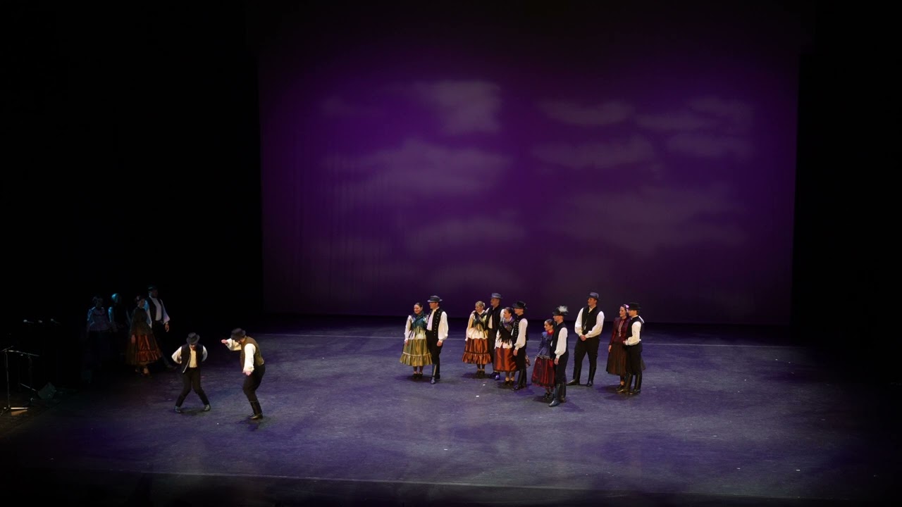 Alba Regia Táncegyüttes - Székesfehérvár,  Hungary