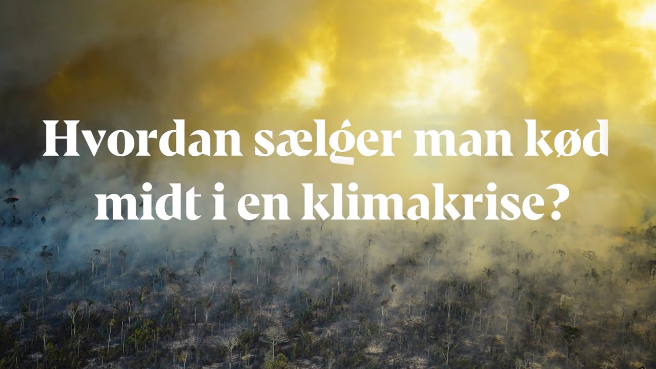 Danish Crowns greenwashing forklaret