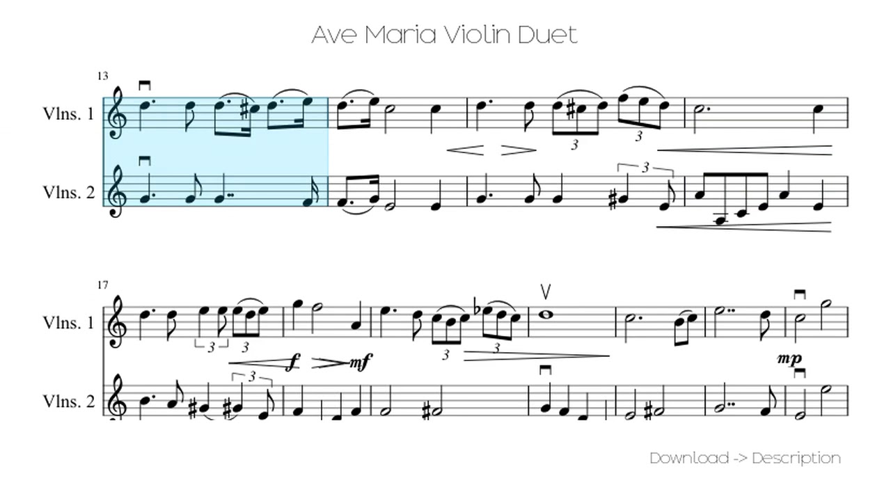 🎶 Ave Maria Violin Duet 🎸🎸