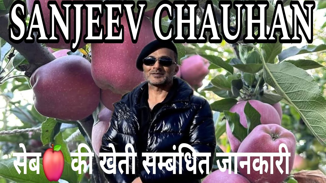 Mr Sanjeev Chauhan ji RMS Bakhol|  Apple Farming Information  | Rms Bakhol