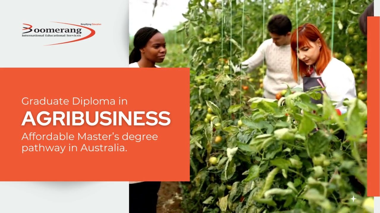 Agribusiness Insights: Ironwood Institute's Graduate Diploma Program Overview