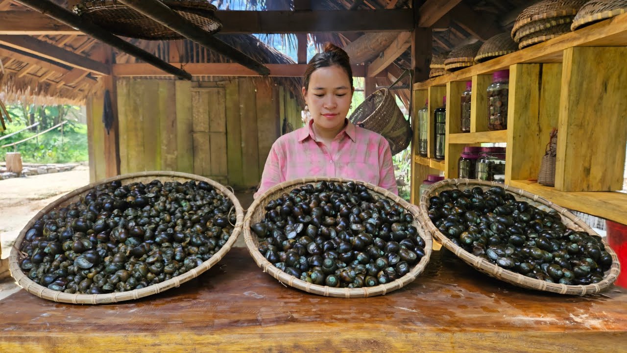 Harvest Stuffed Snails Goes To Market Sell - Cooking - Life Of A Pregnant Woman - Lý Thị Ca