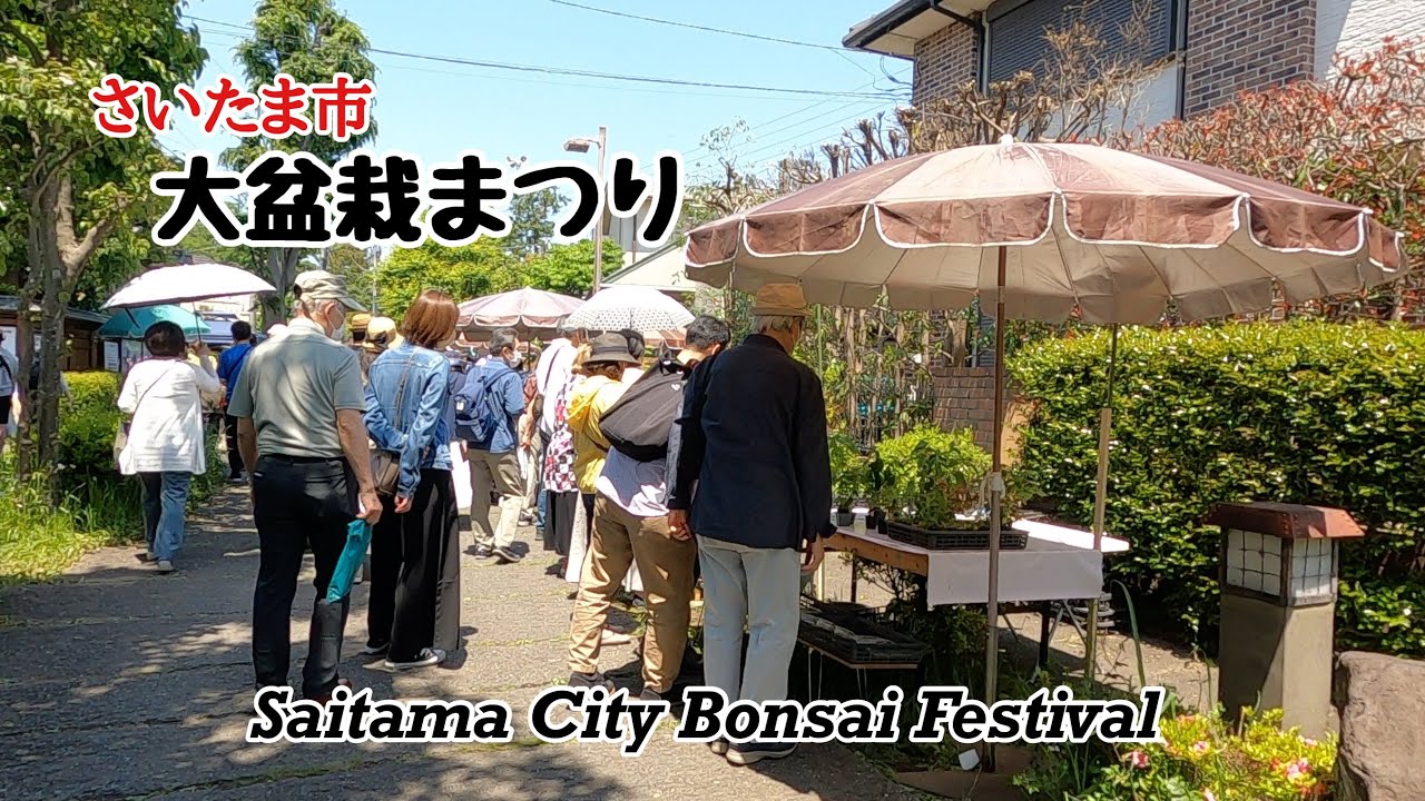 さいたま市 大盆栽まつり／Saitama City Bonsai Festival
