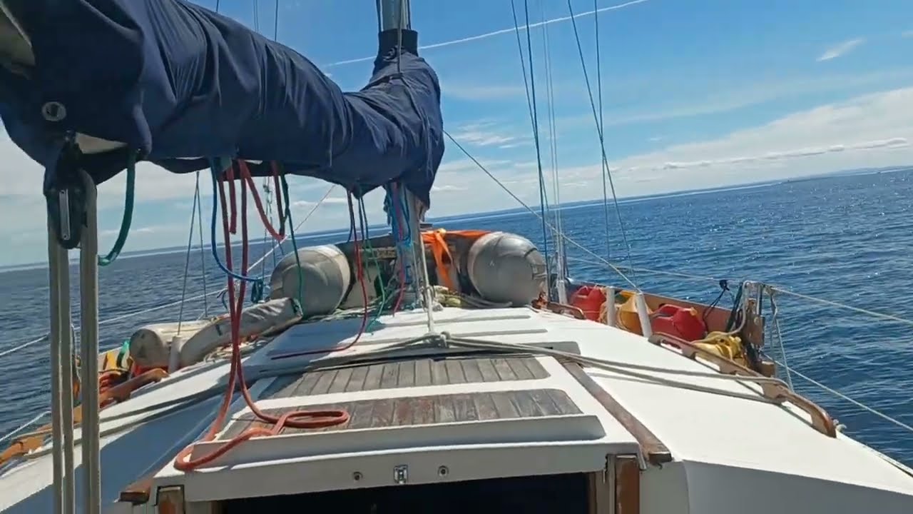 😱 ÉCHEC TOTAL Quai Tadoussac : Voile Solo vers Rimouski ! ⛵🌊