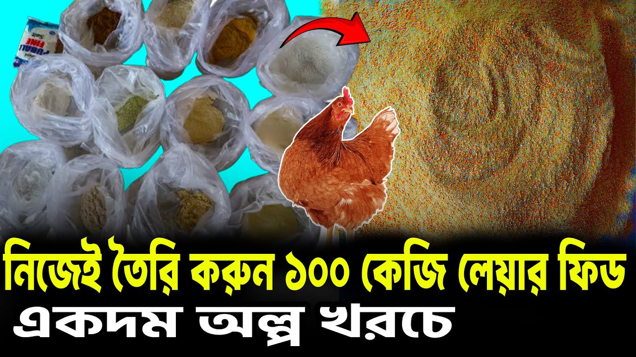 নিজেই তৈরি করুন ১০০ কেজি লেয়ার ফিড । দাম সহ বিস্তারিত জানুন!