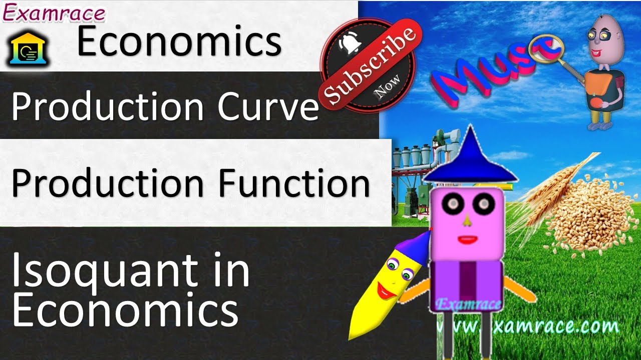 Long Run Production Function: Fundamentals of Economics