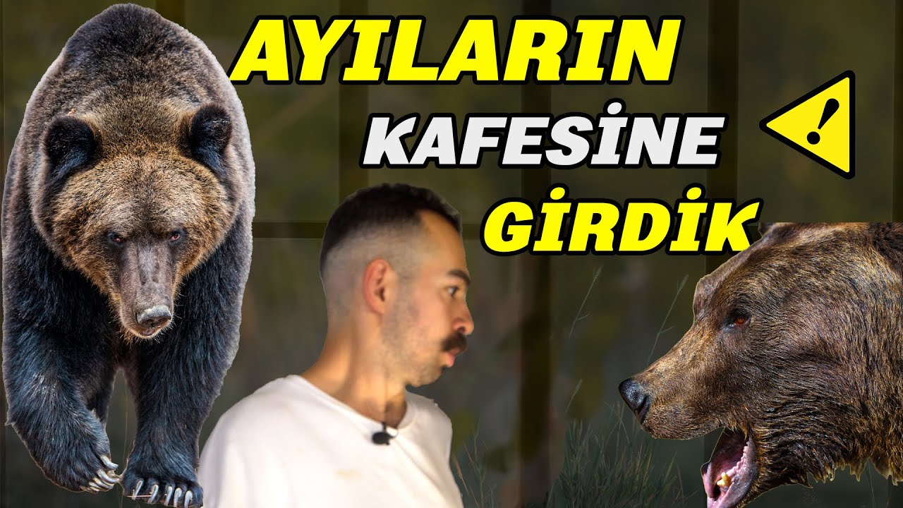 Hiçbir Şekilde Kurtuluşunuz Olmadığı Bir Yırtıcı | AYILAR / Park Of İstanbul'da Ayı Besledik!