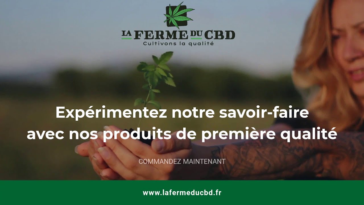 La Ferme du CBD pr&eacute;sentation