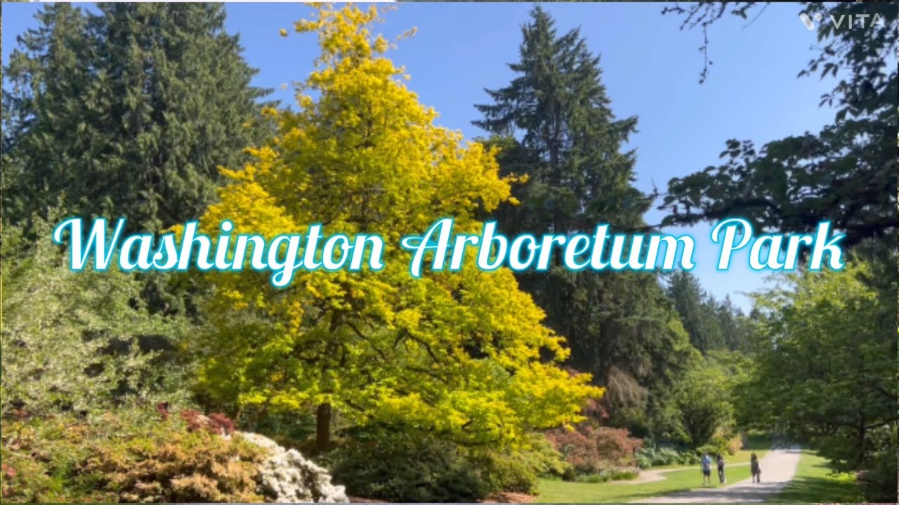 Washington Park Arboretum