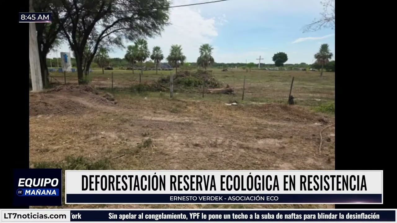 Preocupante desmonte en el Parque Caraguatá: charlamos con Ernesto Verdek