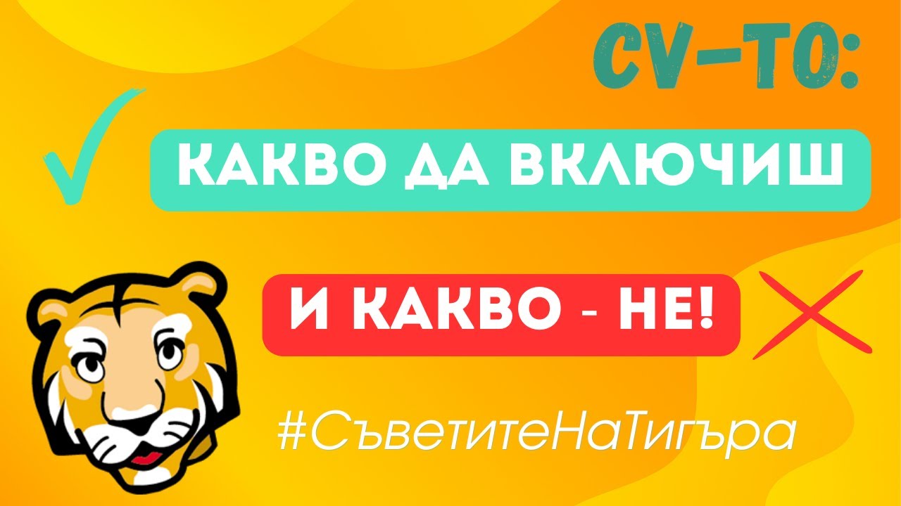 🎬 Съветите на Тигъра: Как е най-добре да опишеш опита си в CV-то?