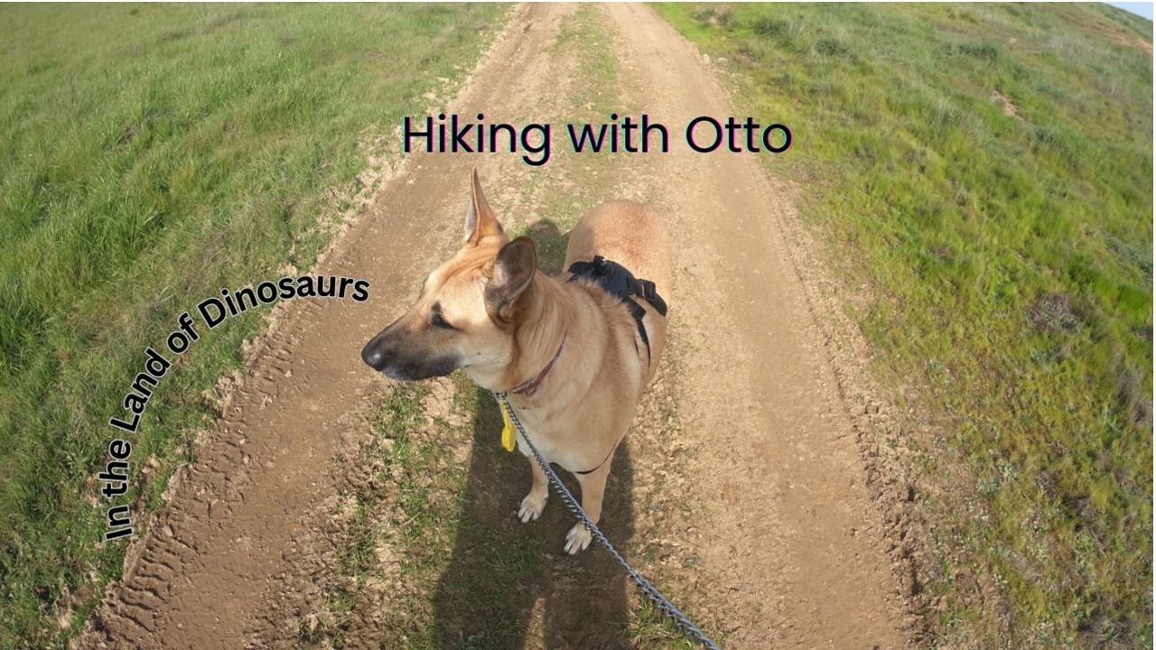 My Dog Otto Taking Me Hiking at Dinosaur Point
