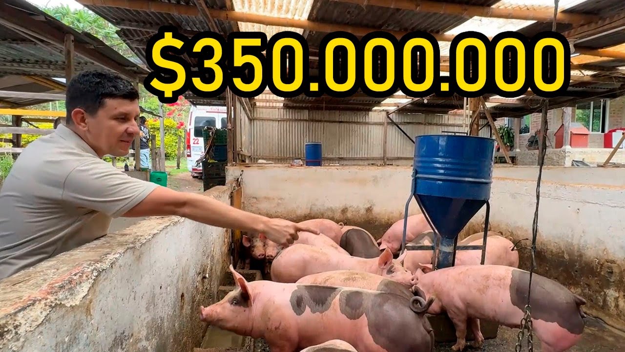 Finca PRODUCTIVA autosostenible en VERSALLES Valle en VENTA 350M
