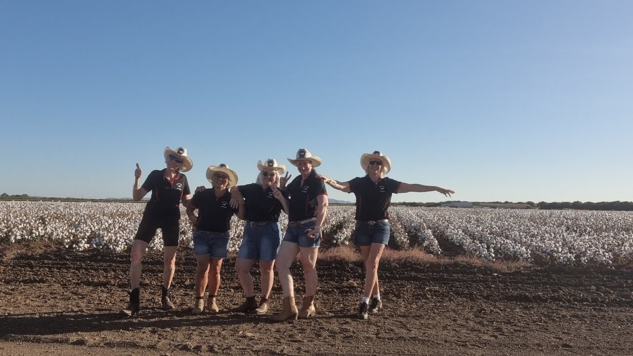 Cotton Fields