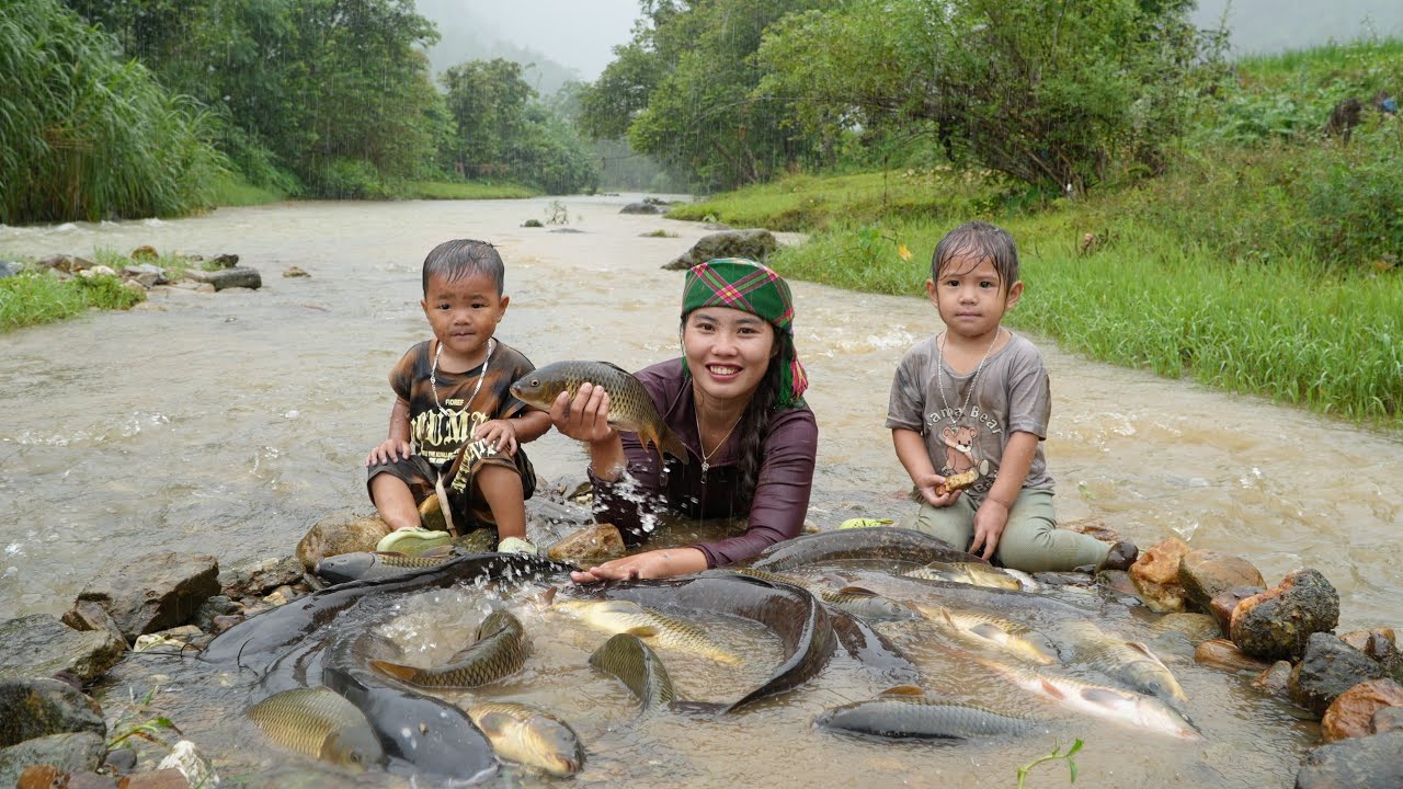 how to harvest giant pond fish on rainy day to sell at market - cook fish for little daughter to eat