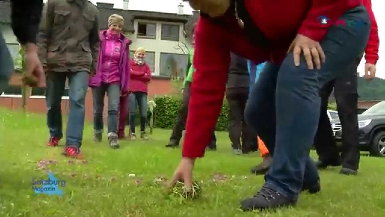 Mit der Natur lernen - Ausbildung zum Naturcoach