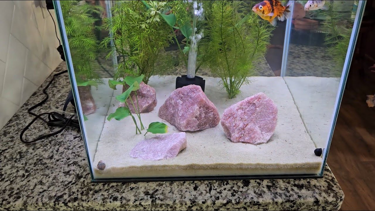 Aqueon Frameless Cube Aquarium/Top Fin Pro Power Filter/Aqua Natural Glitter Rocks - Rose