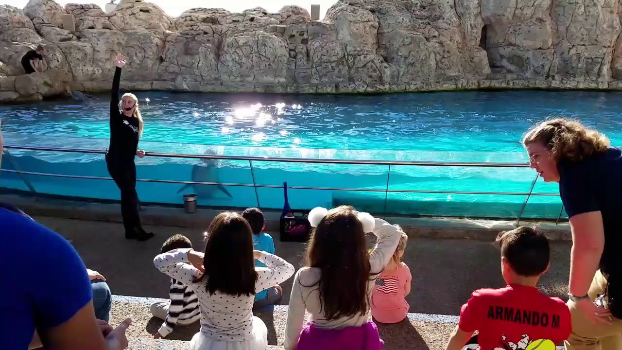 Texas State Aquarium  dice 2018