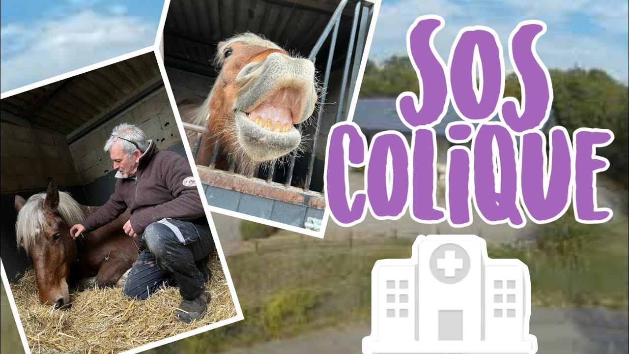 L’ANNÉE COMMENCE MAL, LULU FAIT UNE COLIQUE...