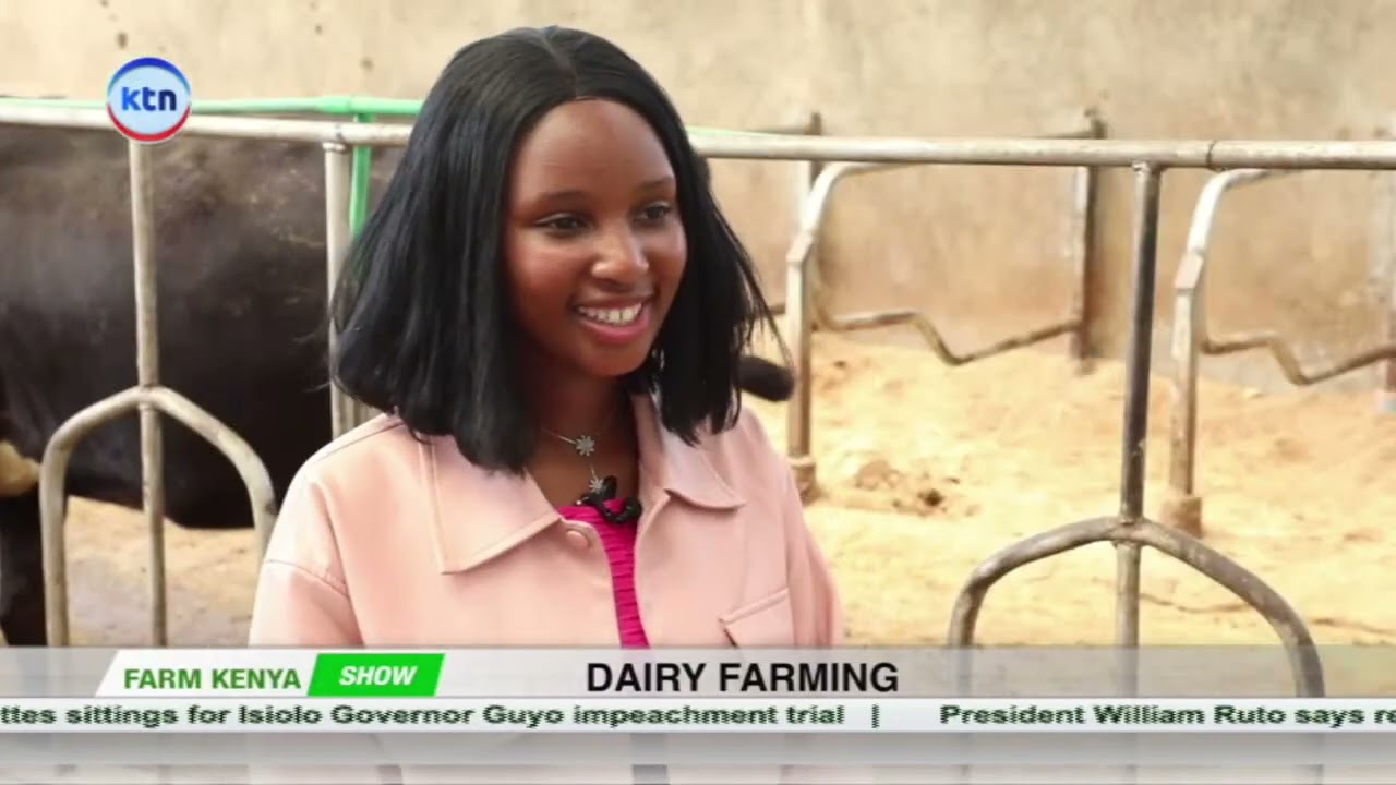 How to Start Dairy Farming in Kenya: Cost, Profit, Getting Started || Farm Kenya