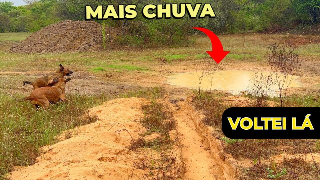 Mais Chuva no Sertão e Fui Conferir o Tanque como ficou 