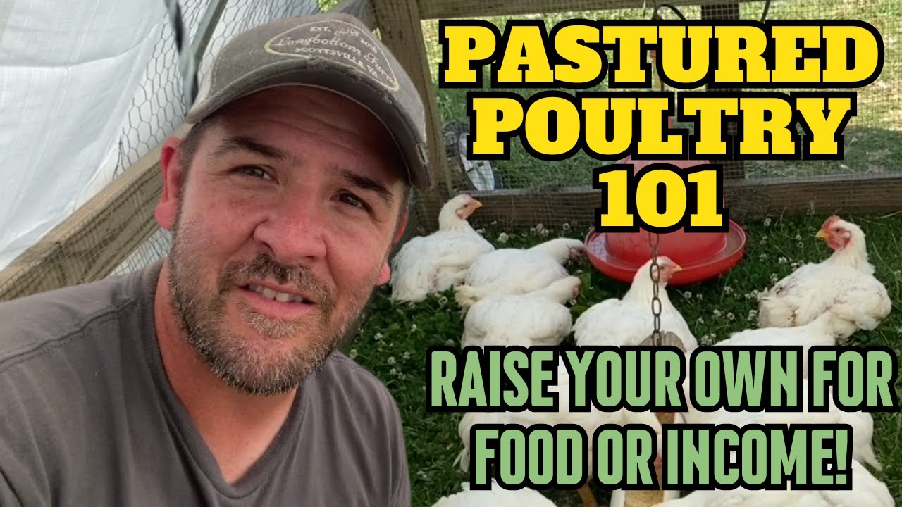 Raising Pastured Poultry Broilers the RIGHT way! (A Comprehensive 101 Guide)
