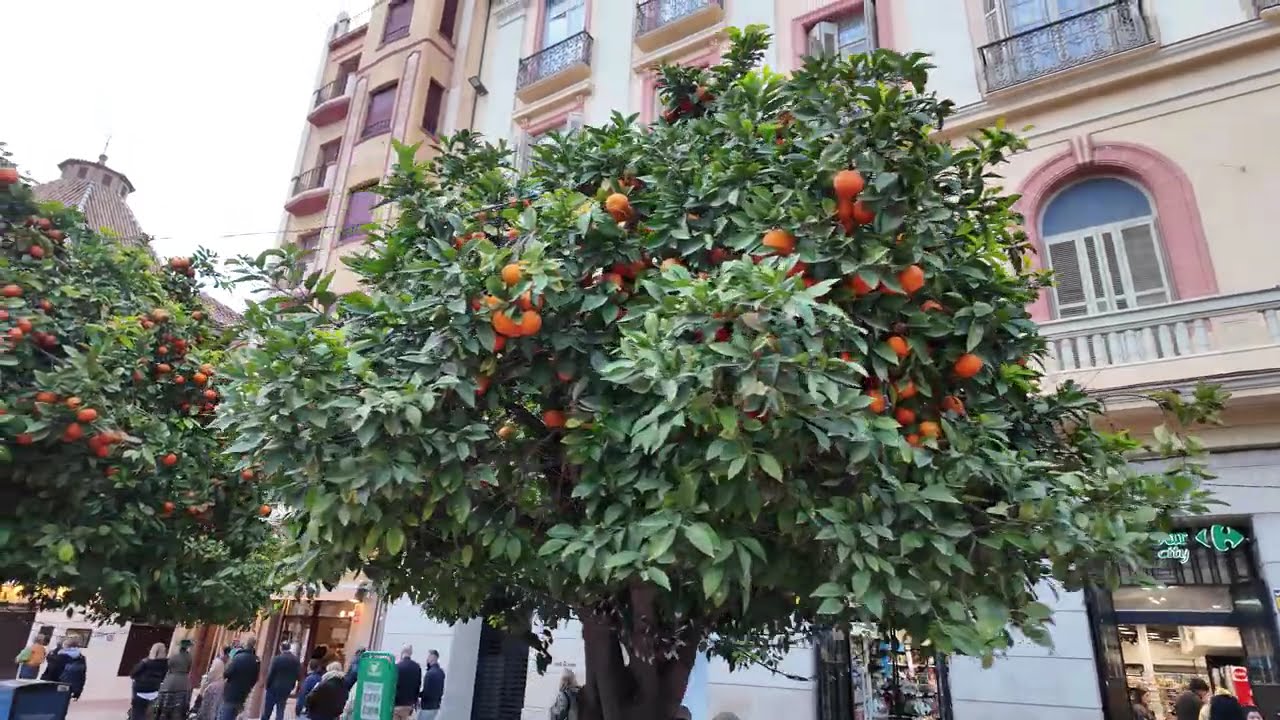 Getting Lost in Málaga’s Centro Histórico