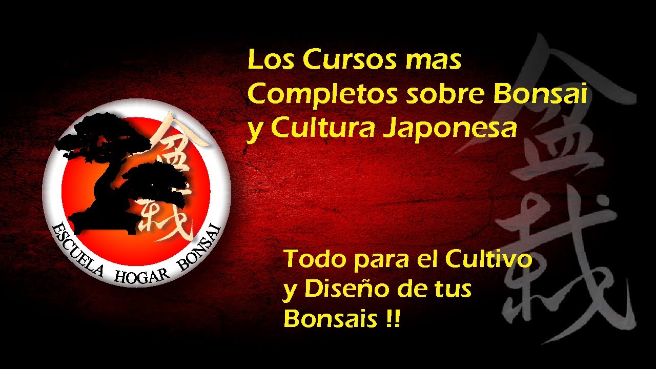 Cursos online 2025 Escuela Hogar Bonsai