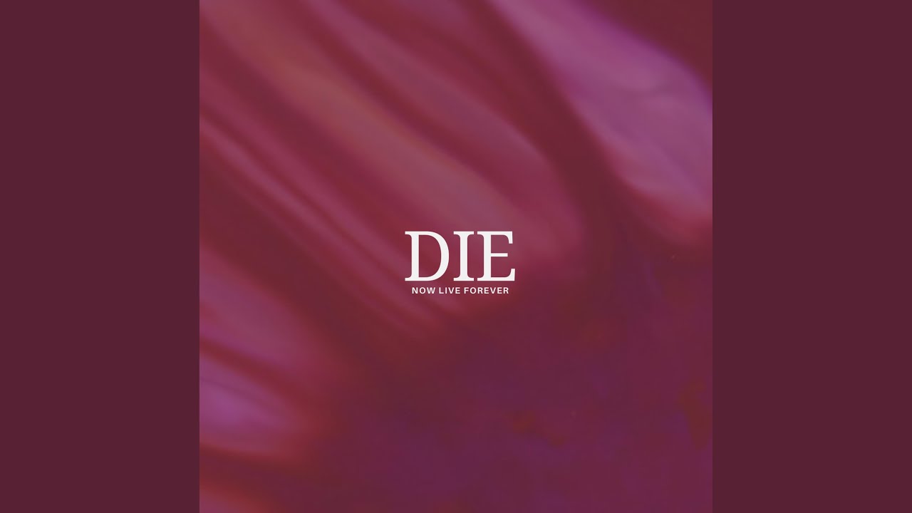 Rize Up