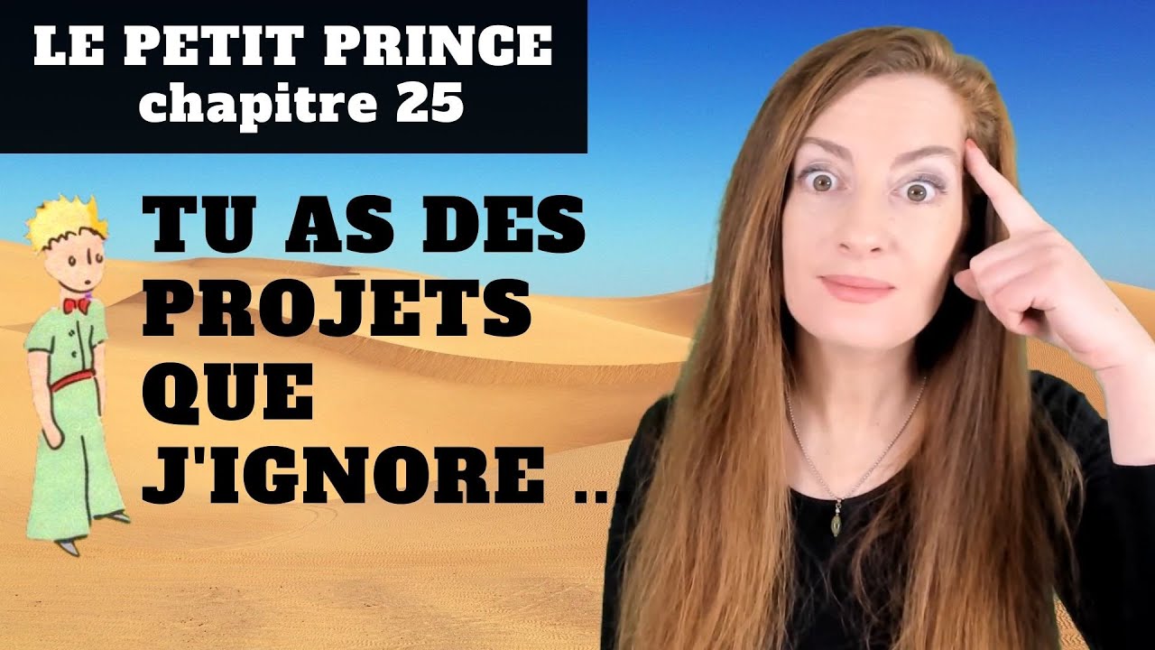 Le Petit Prince Chapitre 25 - Explanations - Explications  - Antoine de Saint-Exupéry