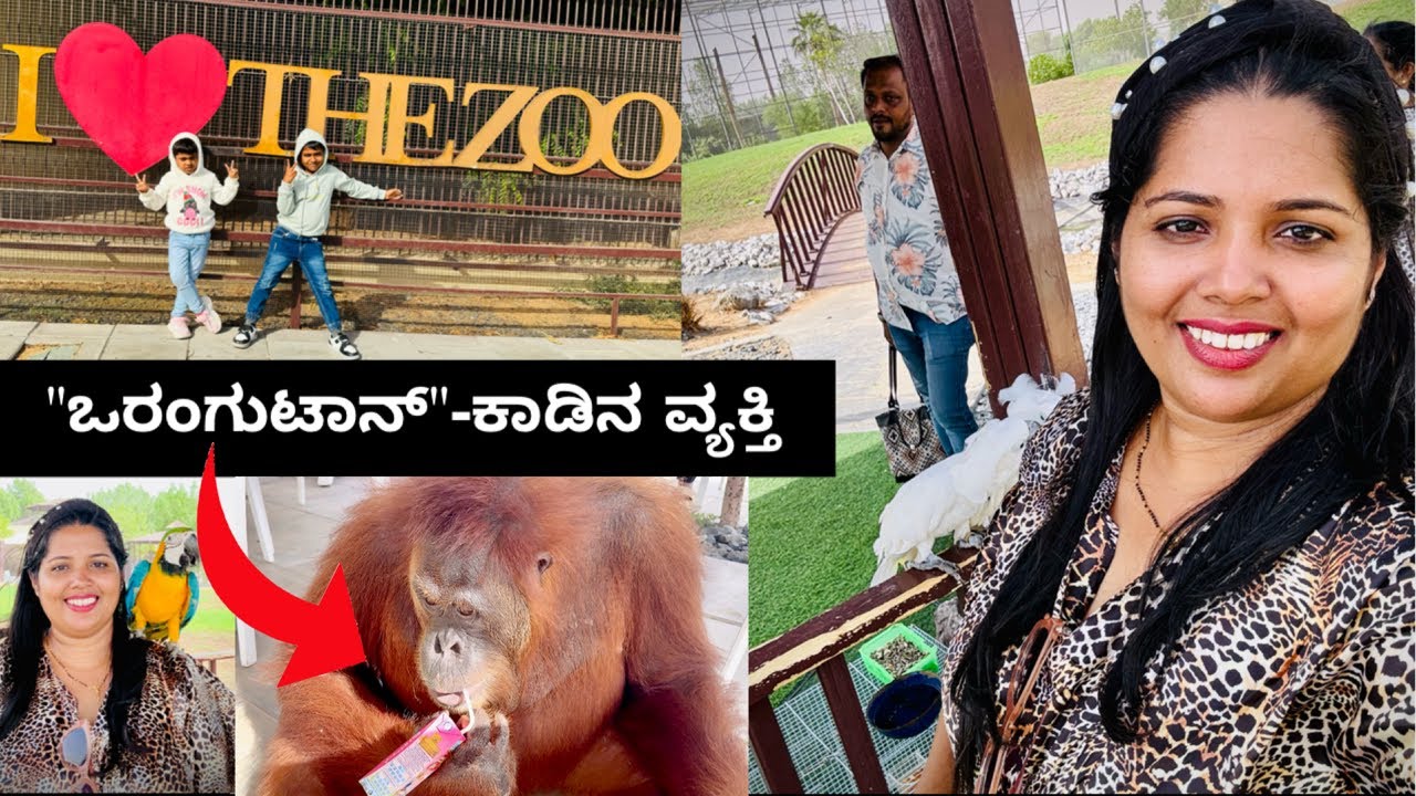ಸಕತ್ intelligent Orangutan 🦧| Umm Al Quwain Zoo ಹೇಗಿದೆ ನೋಡಿ  #jyothsnavlogs #dubai #zoo
