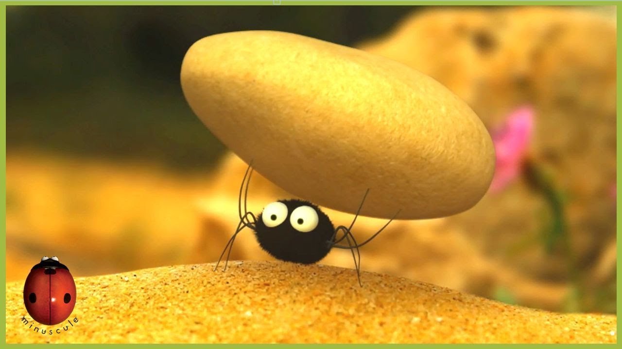 Pea supper | Minuscule 🍃10' Compilation