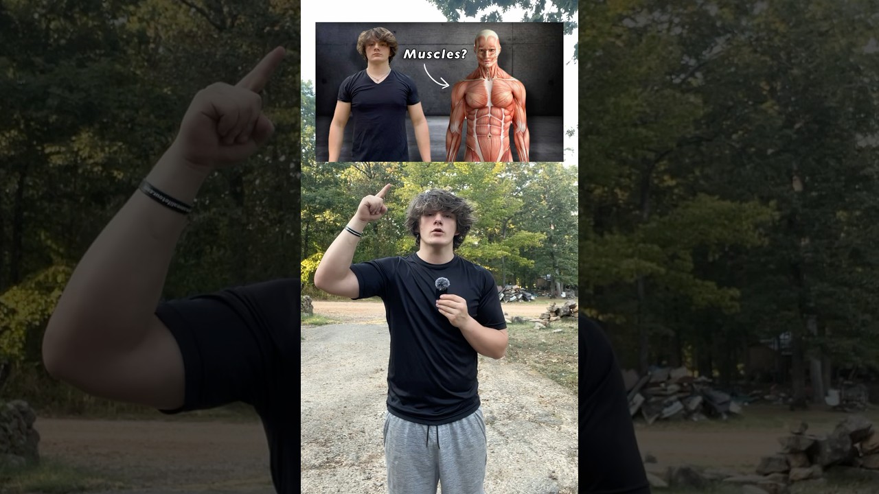 6 major groups! #trending #lifter #infinitebt #viral #muscle #top6 ￼
