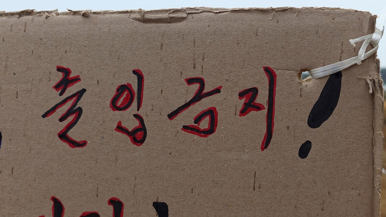 너희들이 고생이 많다
