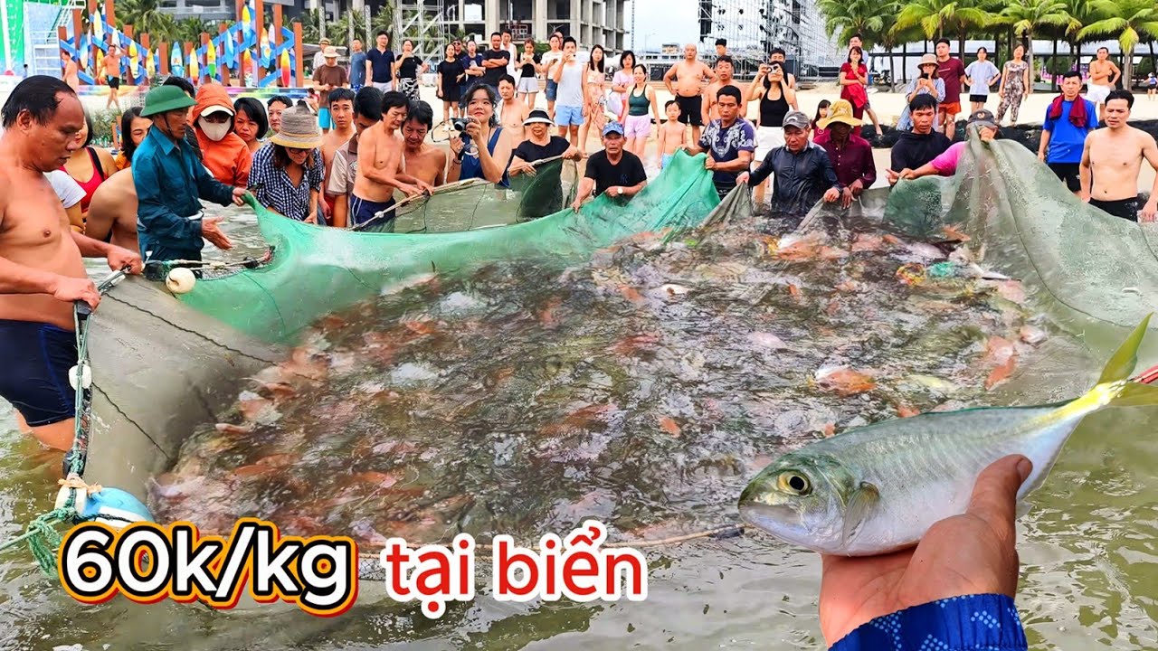 Khách Du lịch Trãi Nghiệm Miễn Phí Kéo Rùng Cùng Ngư Dân Phước Mỹ || Tại Biển Sơn Trà TP Đà Nẵng
