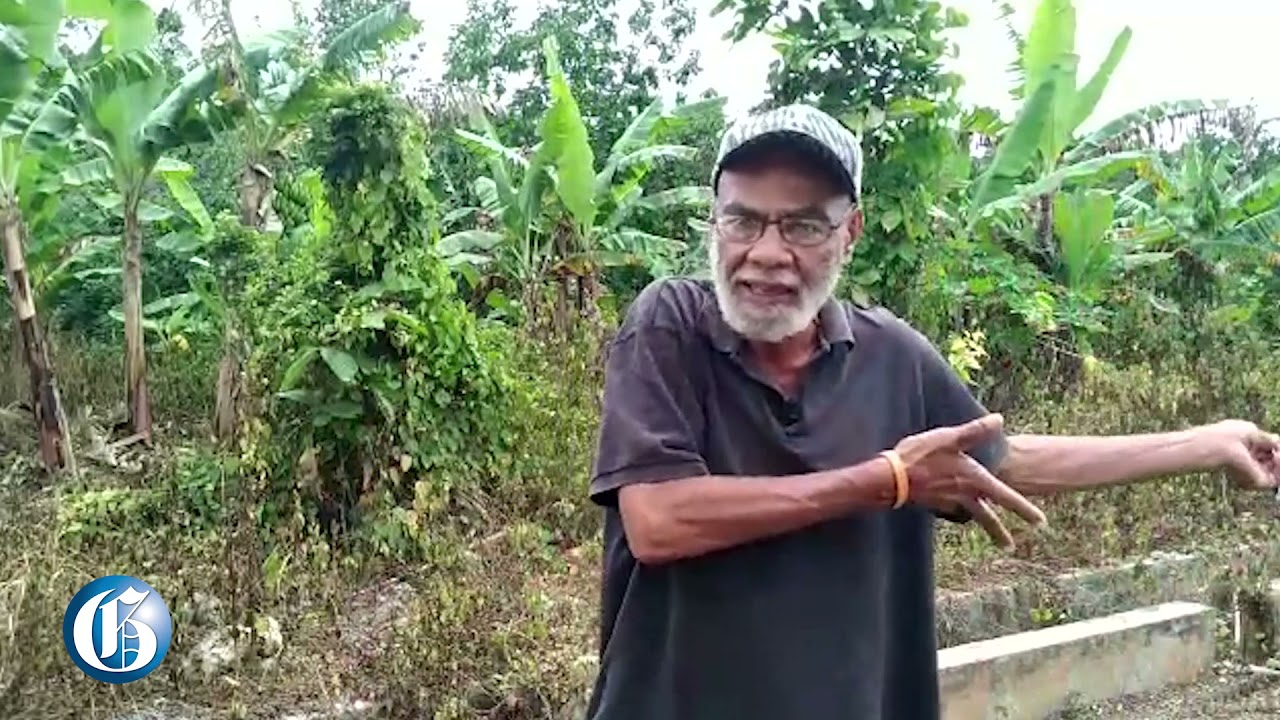 After 50 years in Canada Clarendonian returns home to farm