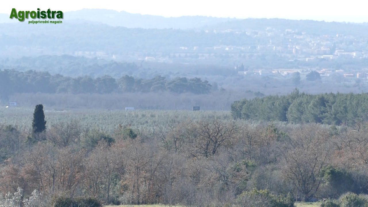 AGROISTRA Kome državno poljoprivredno zemlji&scaron;te?!