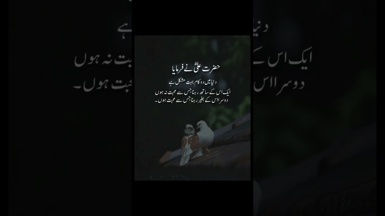 Hazrat Ali's Wisdom: Navigating Life's Challenges