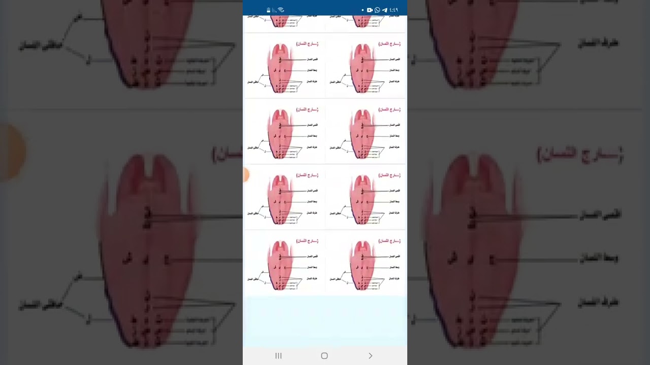 كيفيه تحويل الفيديو الى ملف pdf